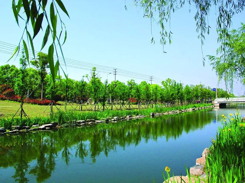 周巷水环境建设项目